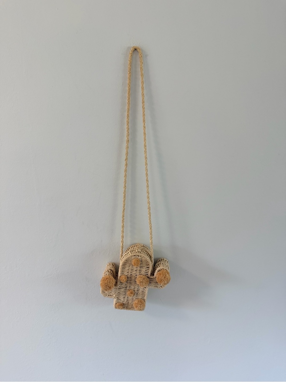 Shein Beige Woven Cactus Crossbody Bag With Pom-Poms